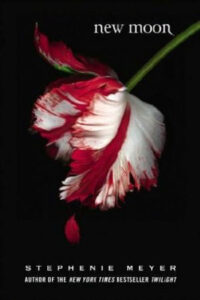 New Moon 200x300