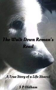 Walk Down Romans Road 188x300