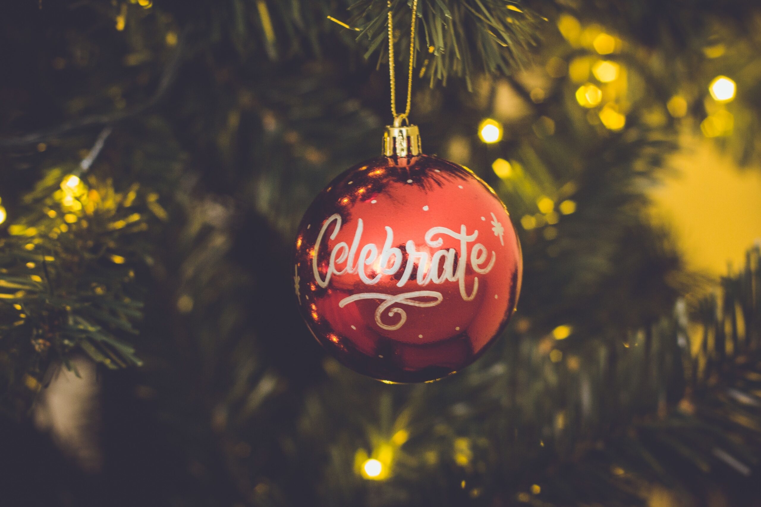 Bri’s Favorite Holiday Things
