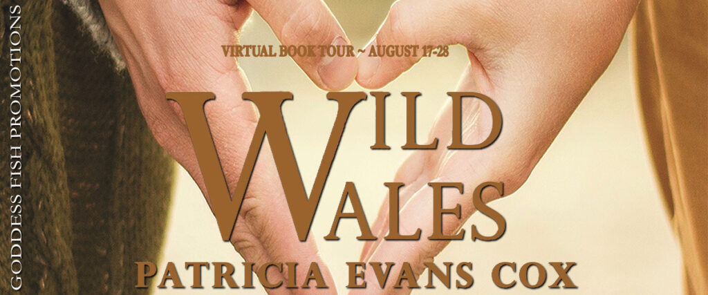 TourBanner Wild Wales 1024x427
